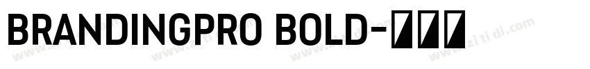 BrandingPro Bold字体转换 BrandingPro Bold字体转换
